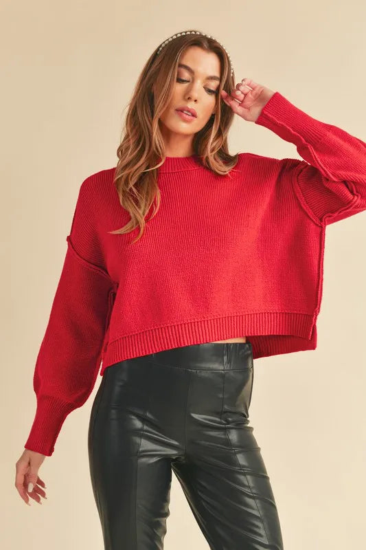 Aemi+Co Ribbed Hem Exposed Seam Round Neck Sweater